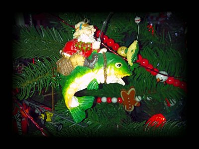 IMG_20161211_154755_edit.jpg