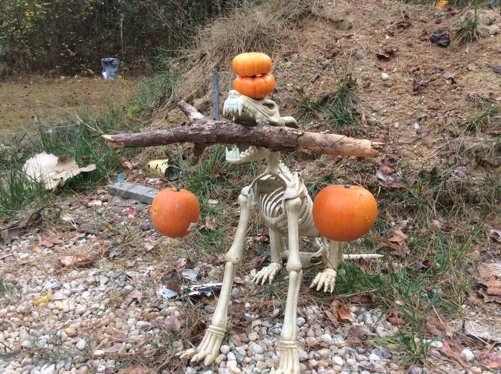 ol milkbone holding target.jpg