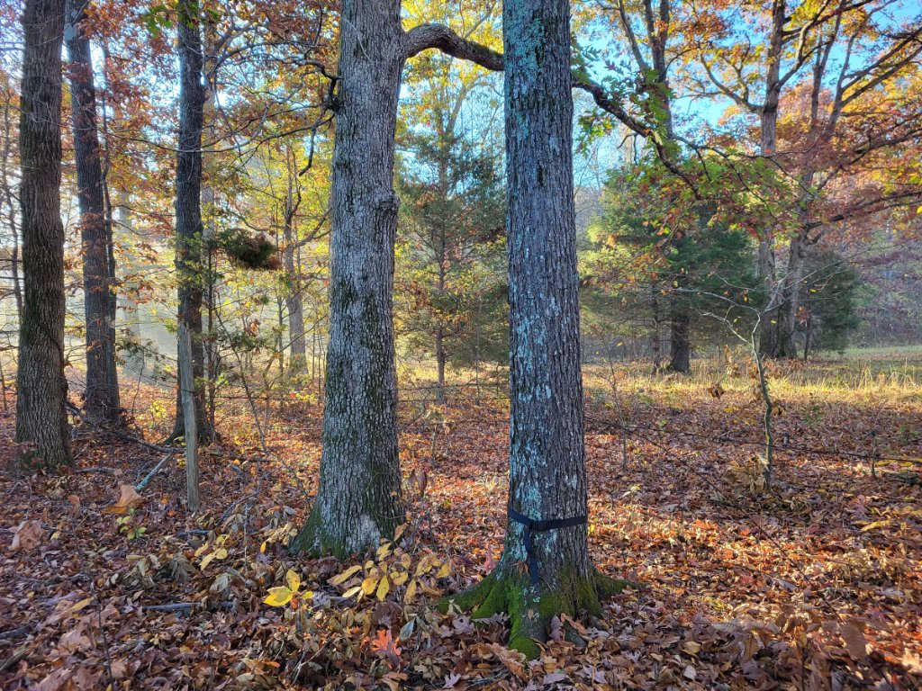 20221103_082238.jpg