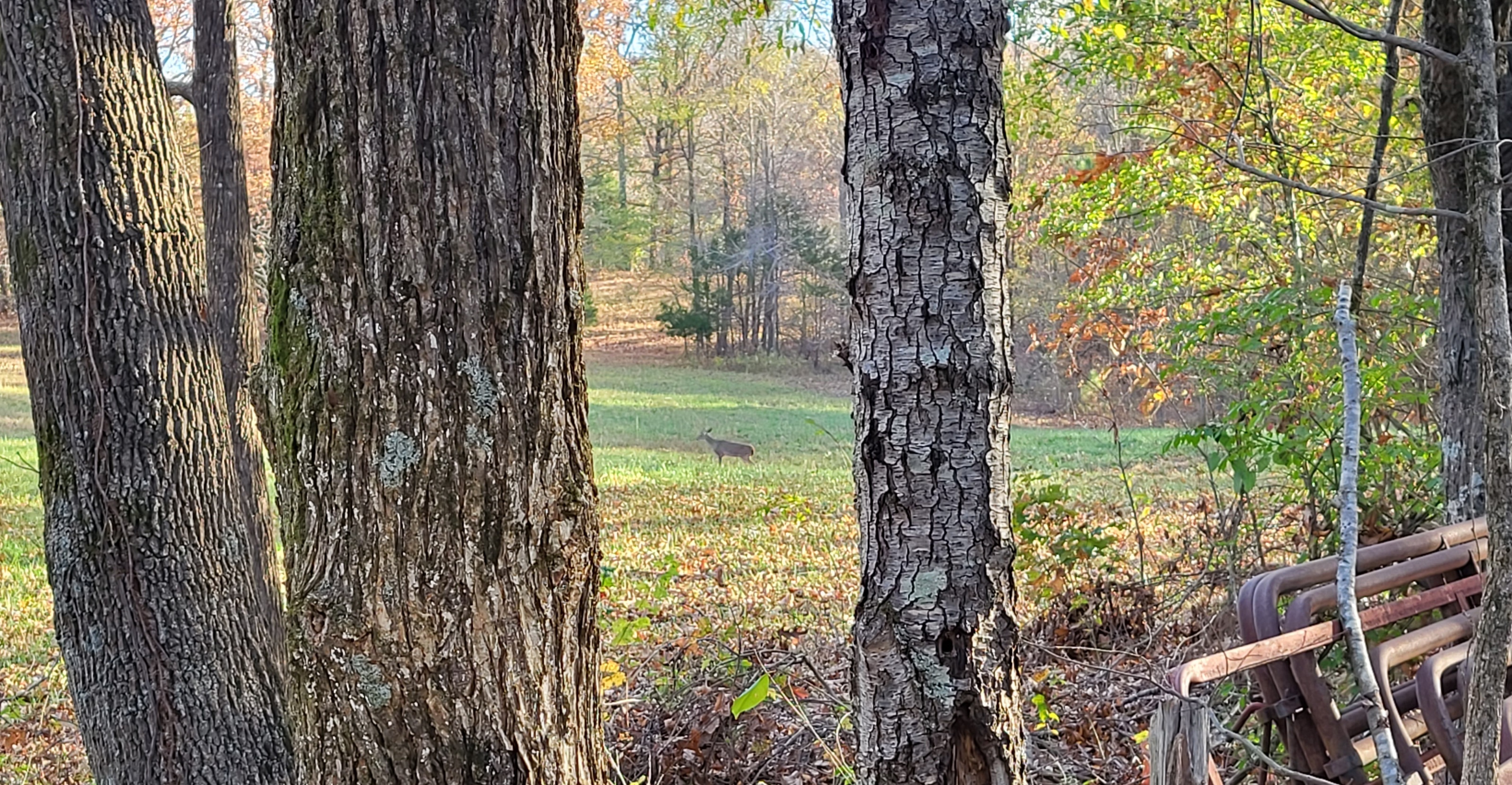 20221110_074728.jpg