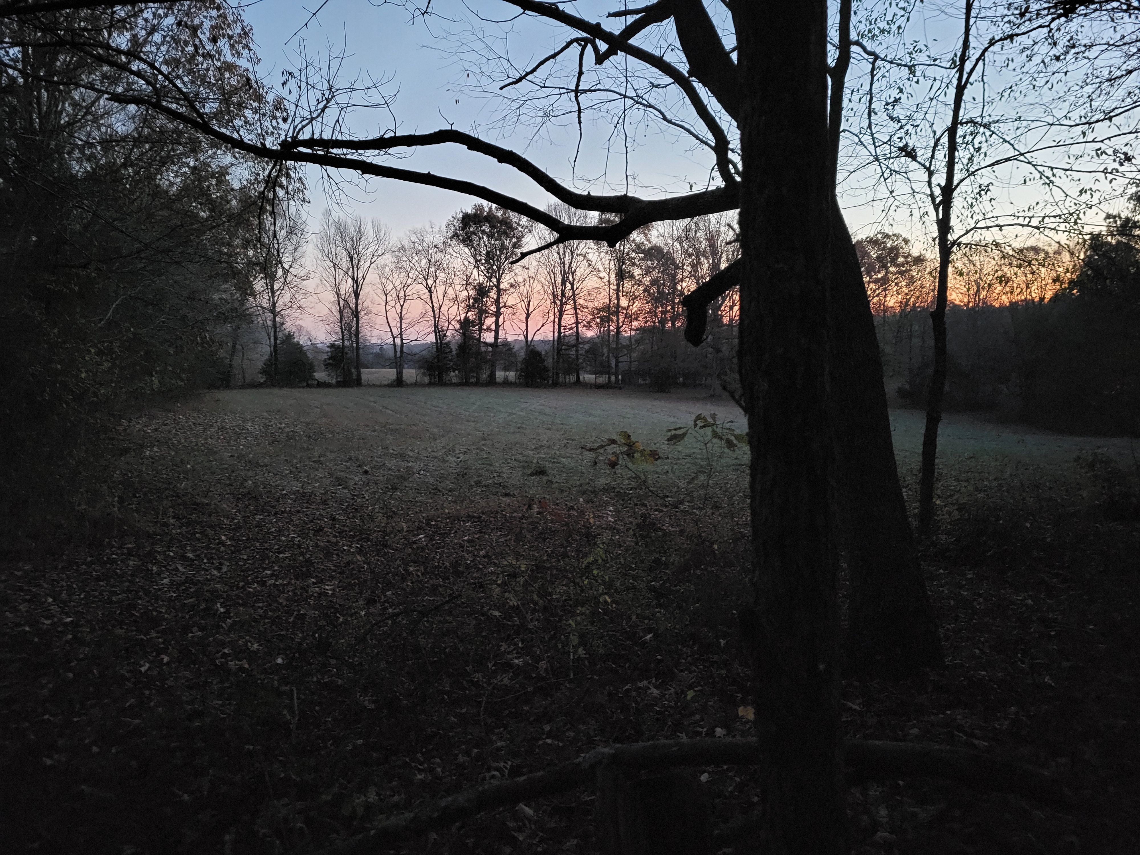 20221117_060442.jpg