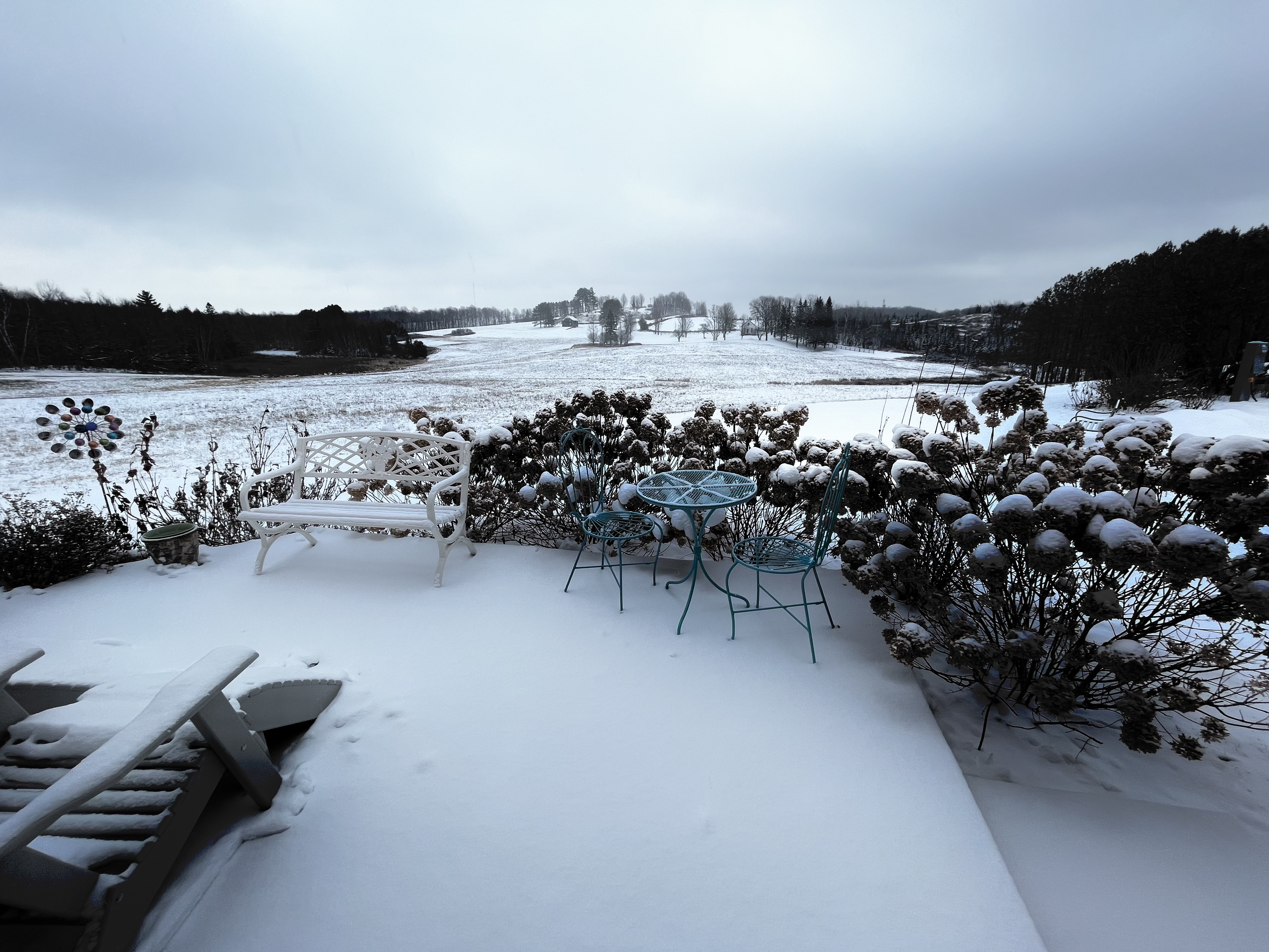 D93AC87F-F865-4F93-9017-3D05B6B8F953.jpeg