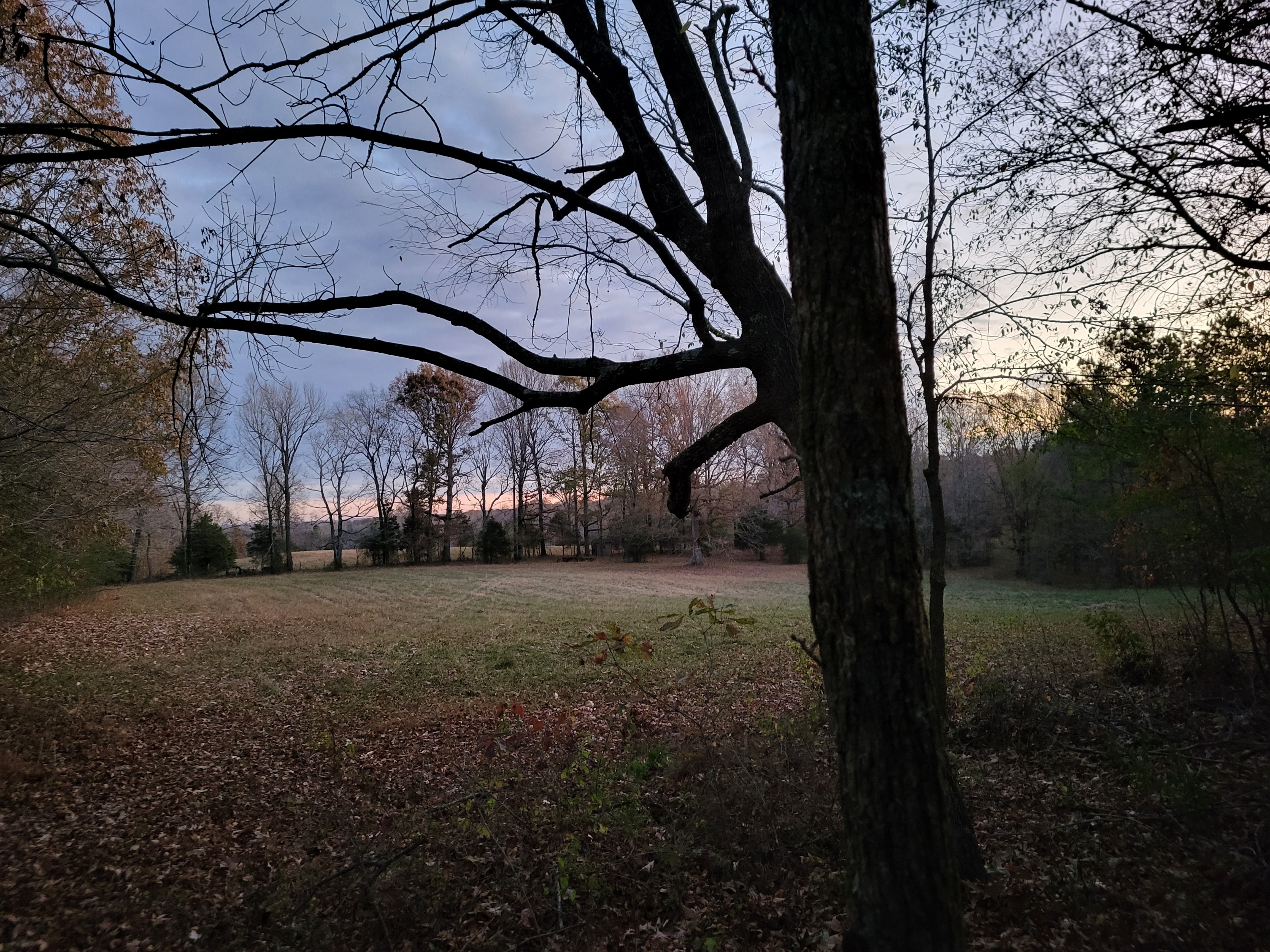 20221119_061500.jpg