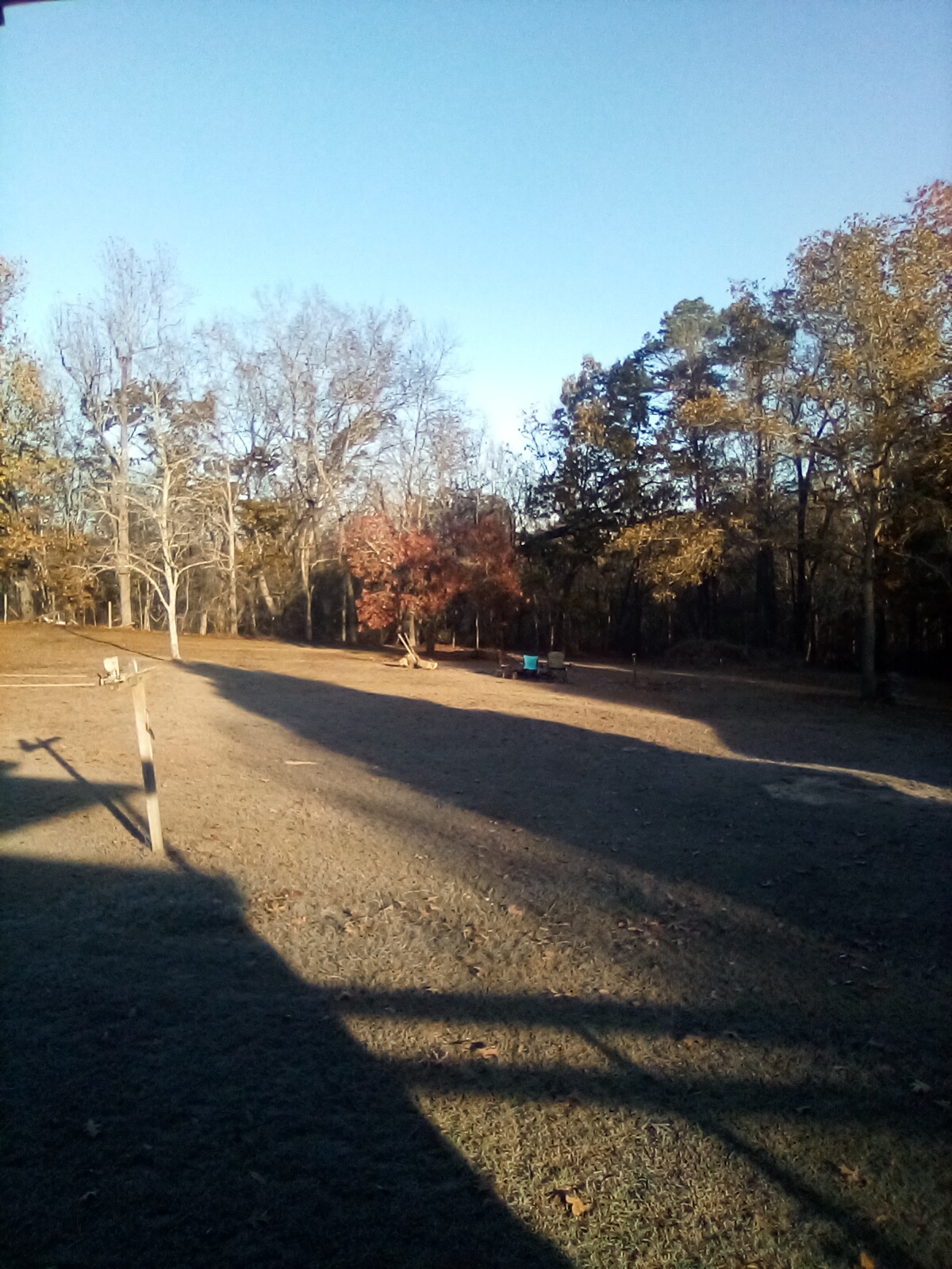 IMG_20221121_081934.jpg