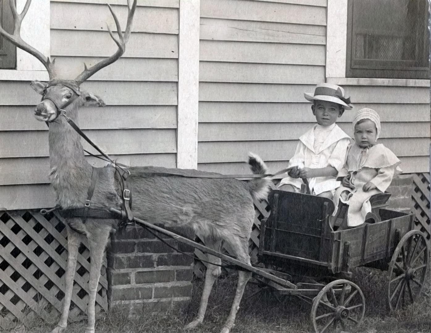 Deer Cart.jpg
