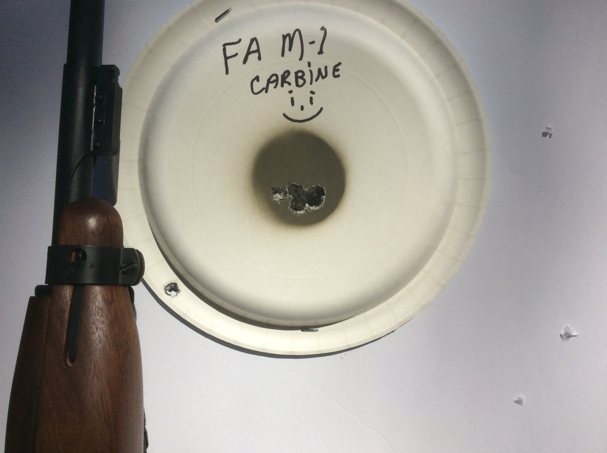 lost track of how many rounds went thru that ragged hole.jpg