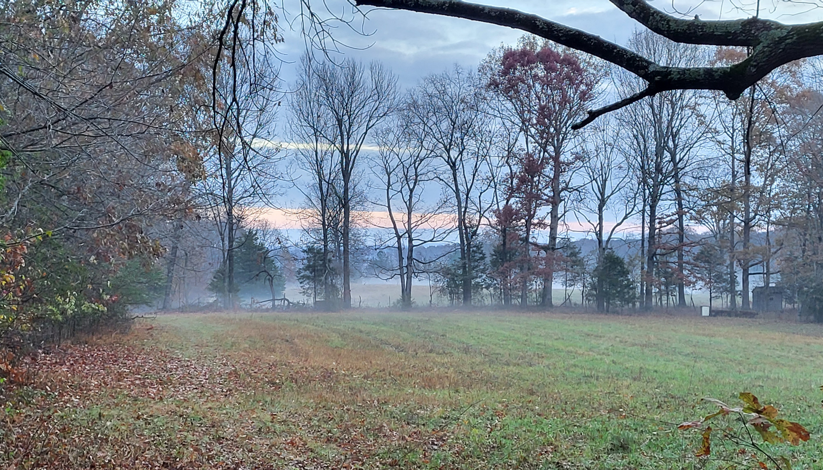 20221125_065114.jpg