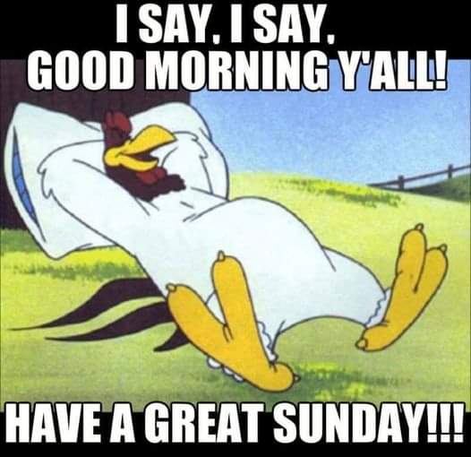 FB_IMG_1669550954256.jpg