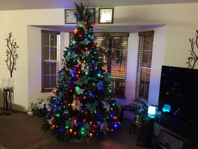 IMG_0395.JPG