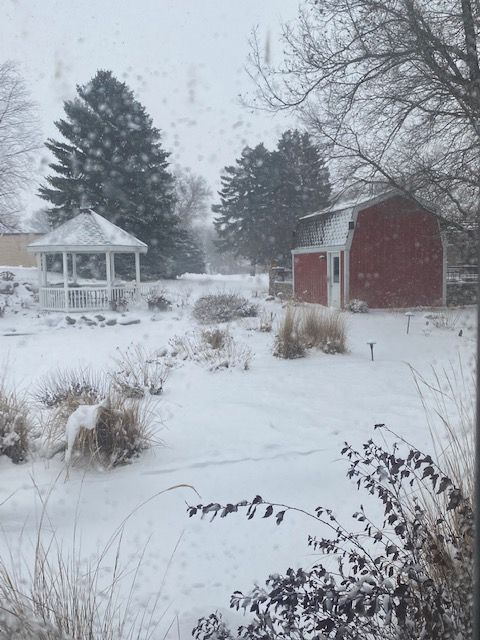 221214 001 1st winter snow 004.jpg