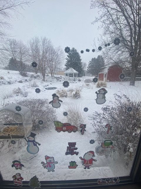 221214 001 1st winter snow 003.jpg