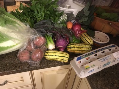 IMG_0242.JPG