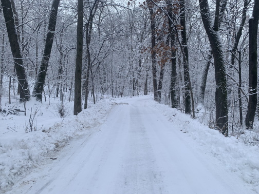 Drive in winter.JPG