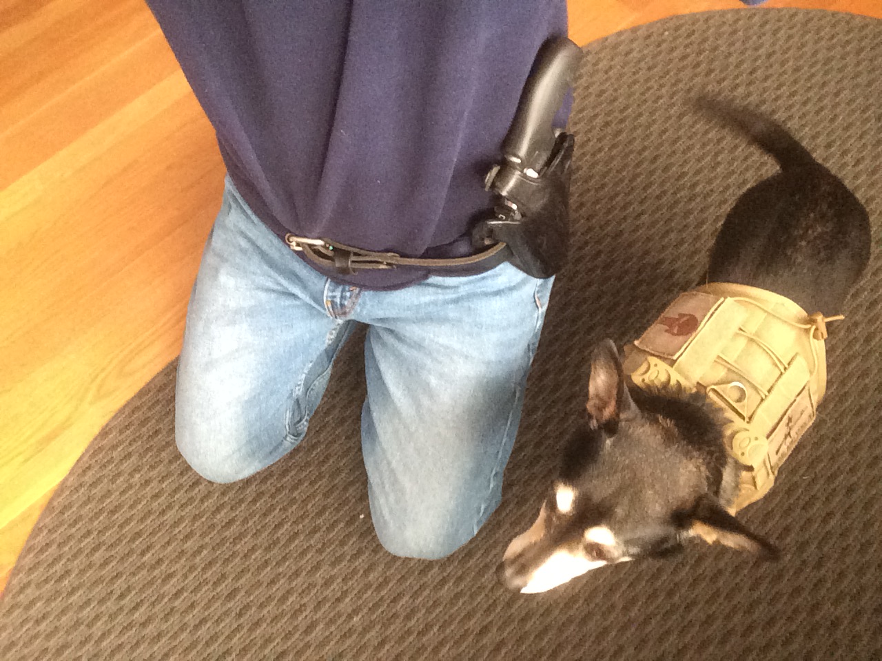 getting ready for morning woods walk.jpg