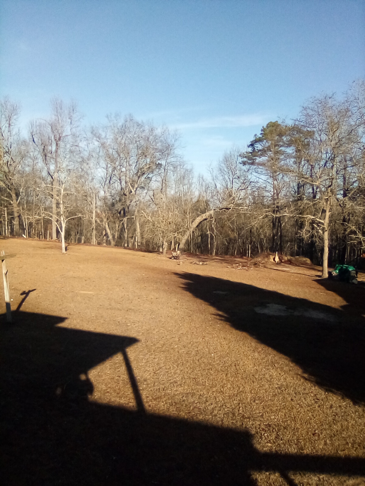 IMG_20230102_093511.jpg