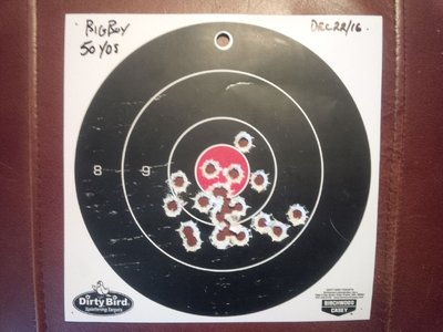 Big Boy 45 Colt 50 yds