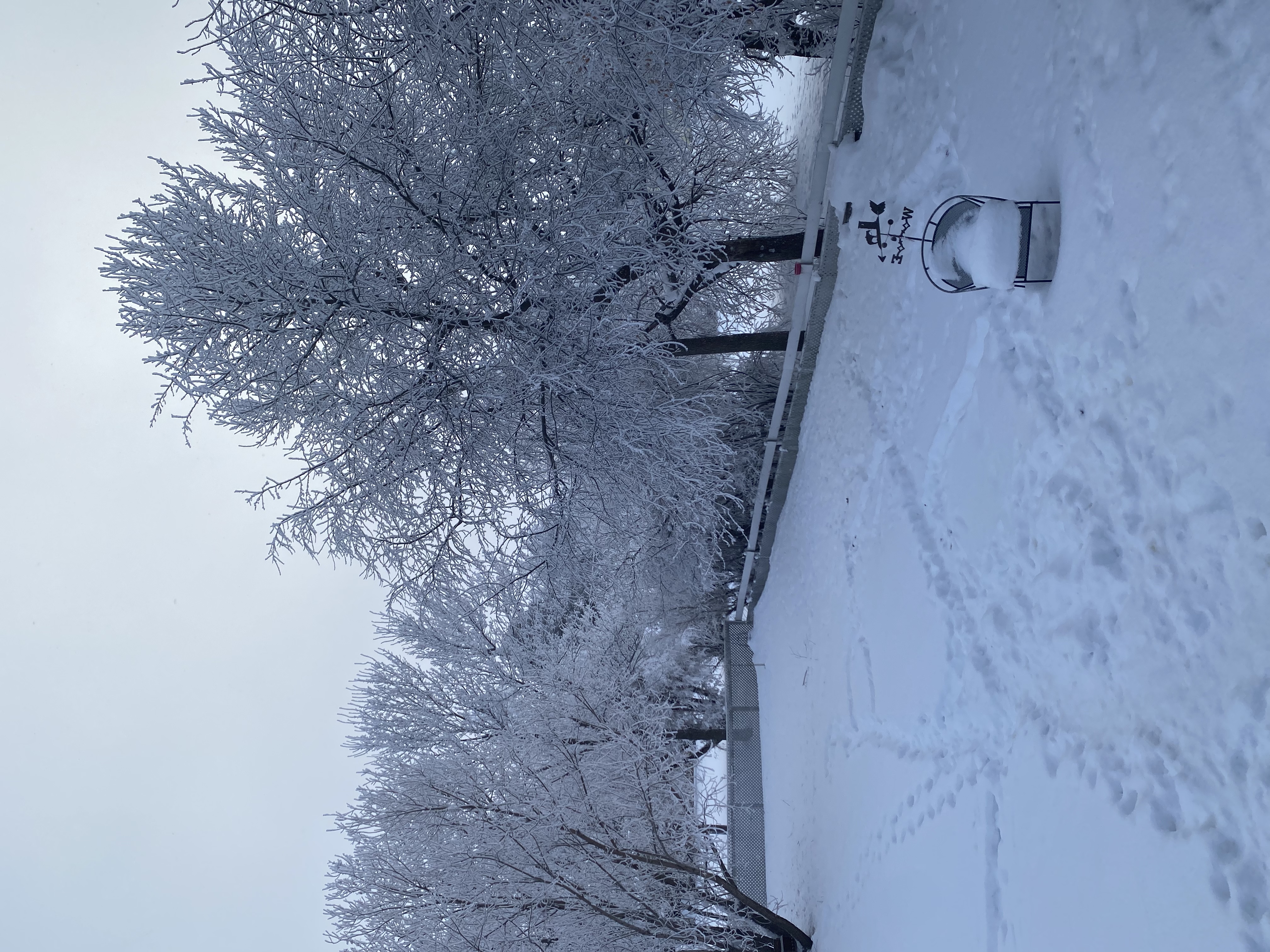 D520A6BF-7891-4057-B05D-33F4E7F6CAA3.jpeg