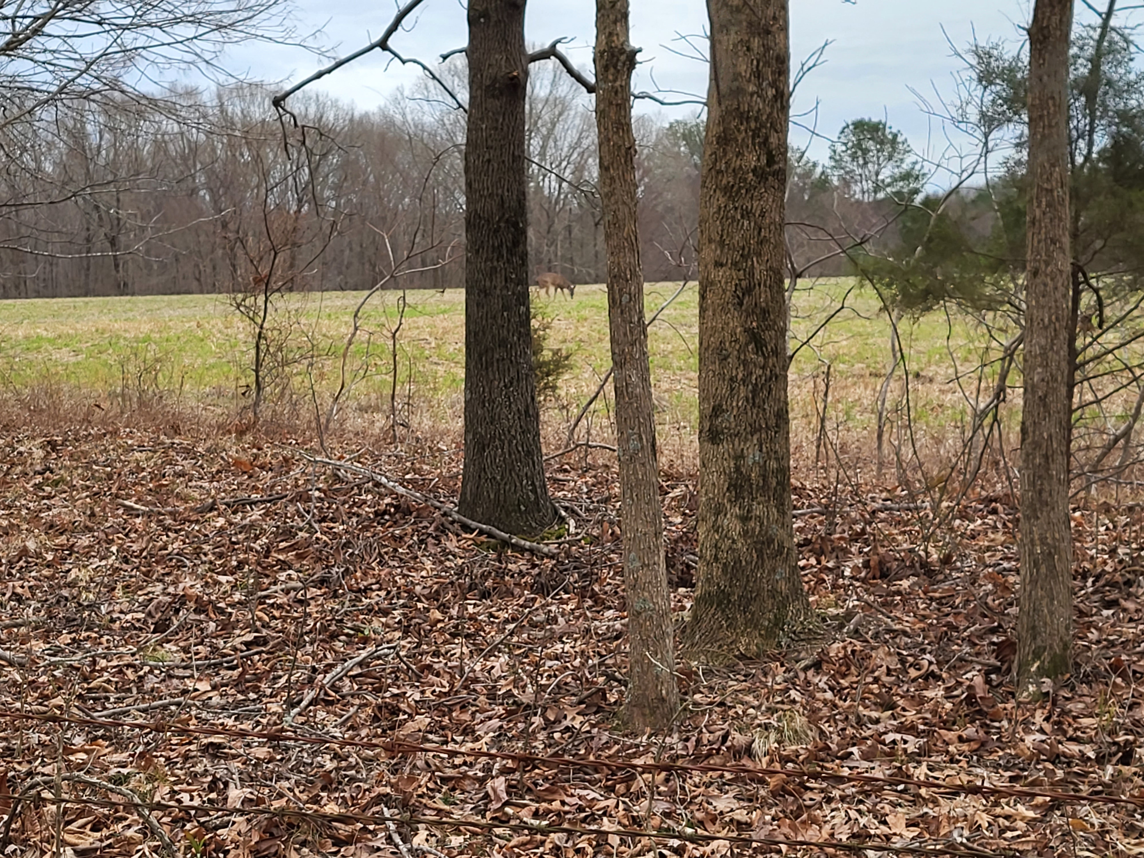 20230116_080232.jpg