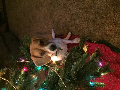 image.jpeg
