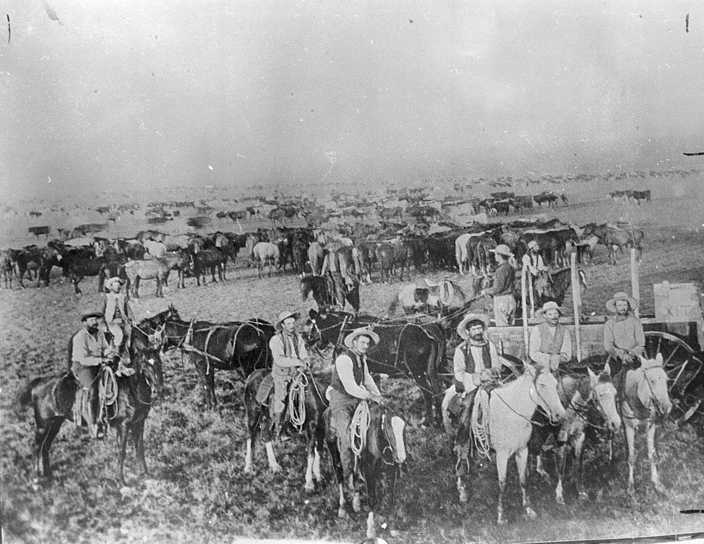 Cattle Drive.jpg