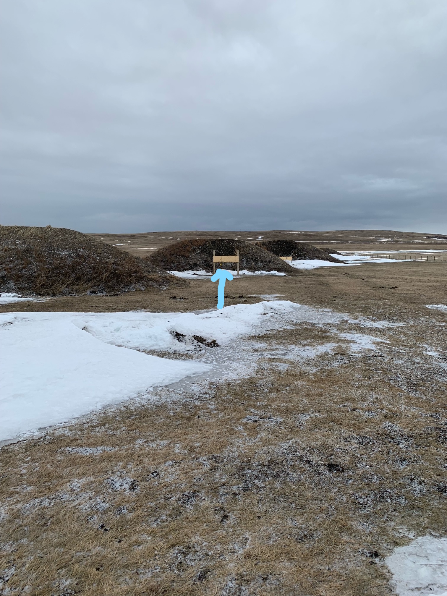 50 yd gong full length.jpeg.jpg