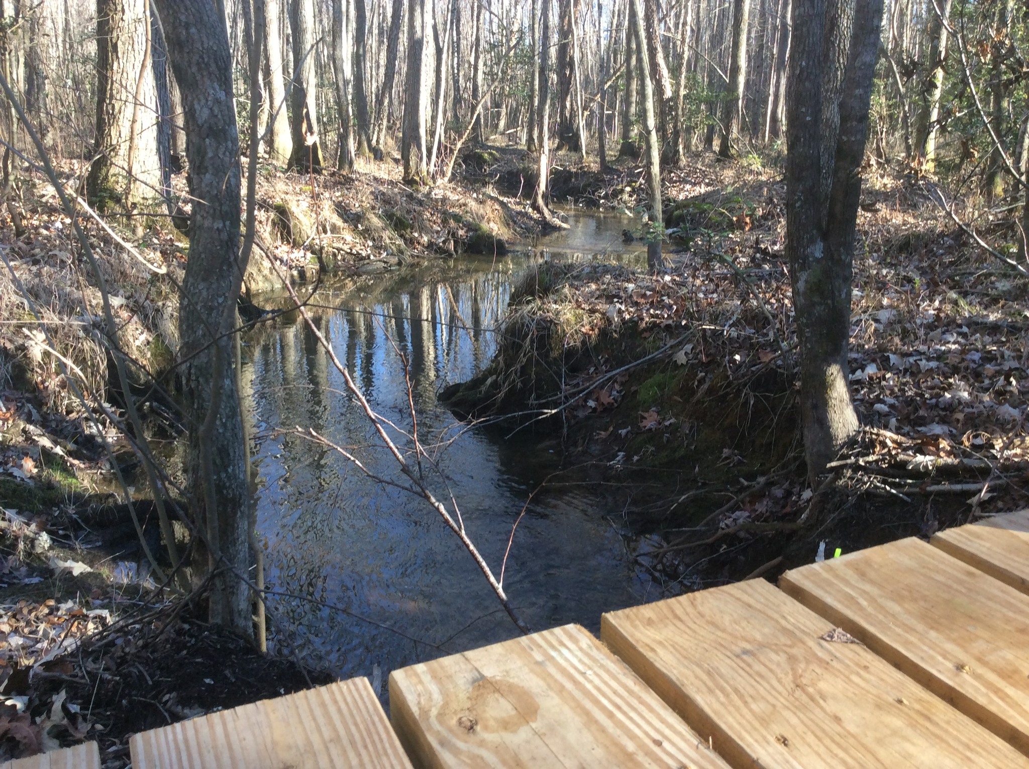 creek running well today 1 24 2023.jpg