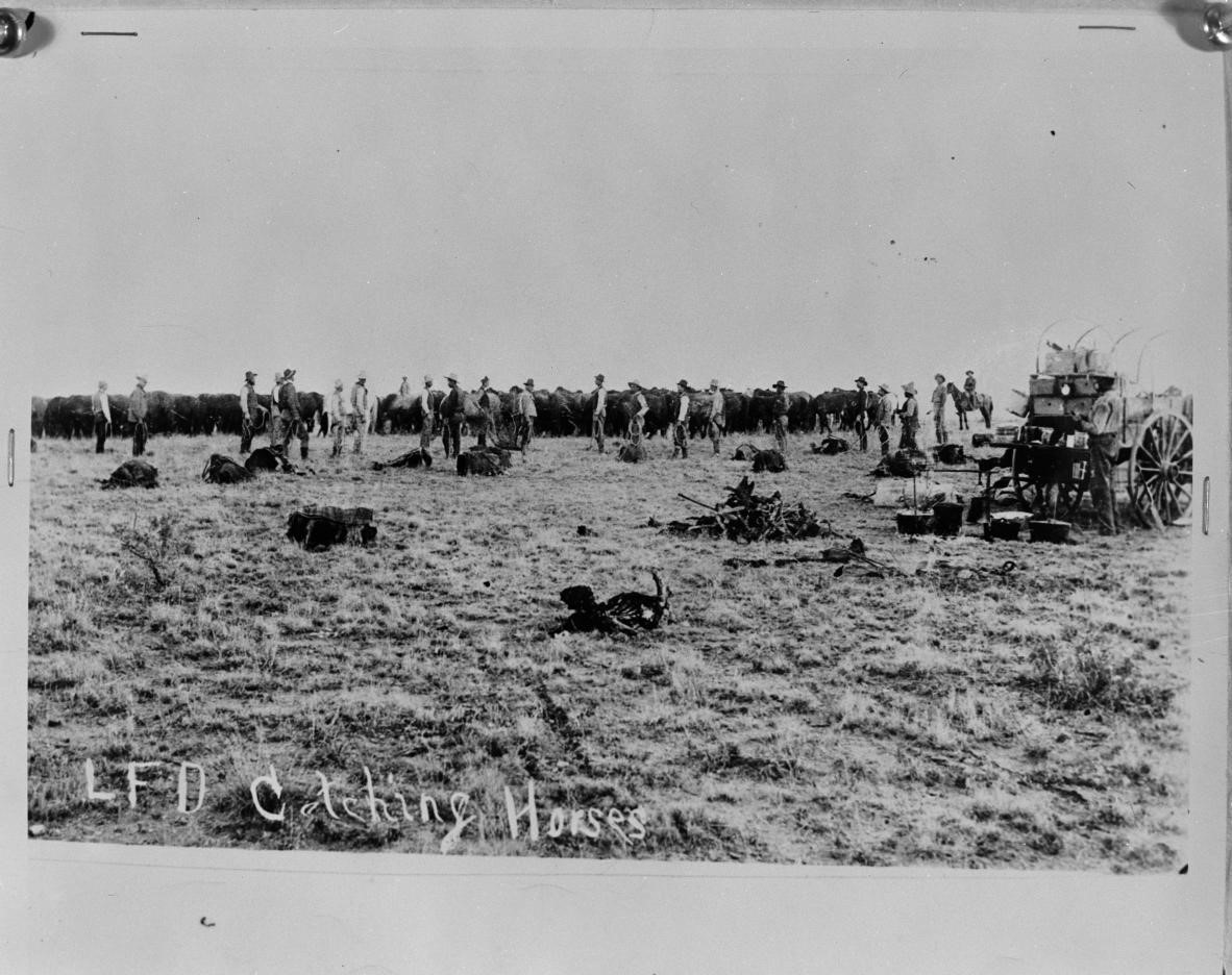 LFD Ranch.jpg