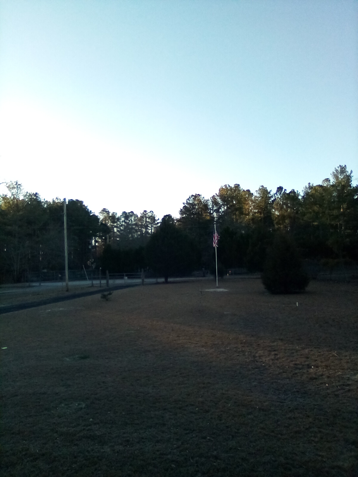 IMG_20230204_080420.jpg