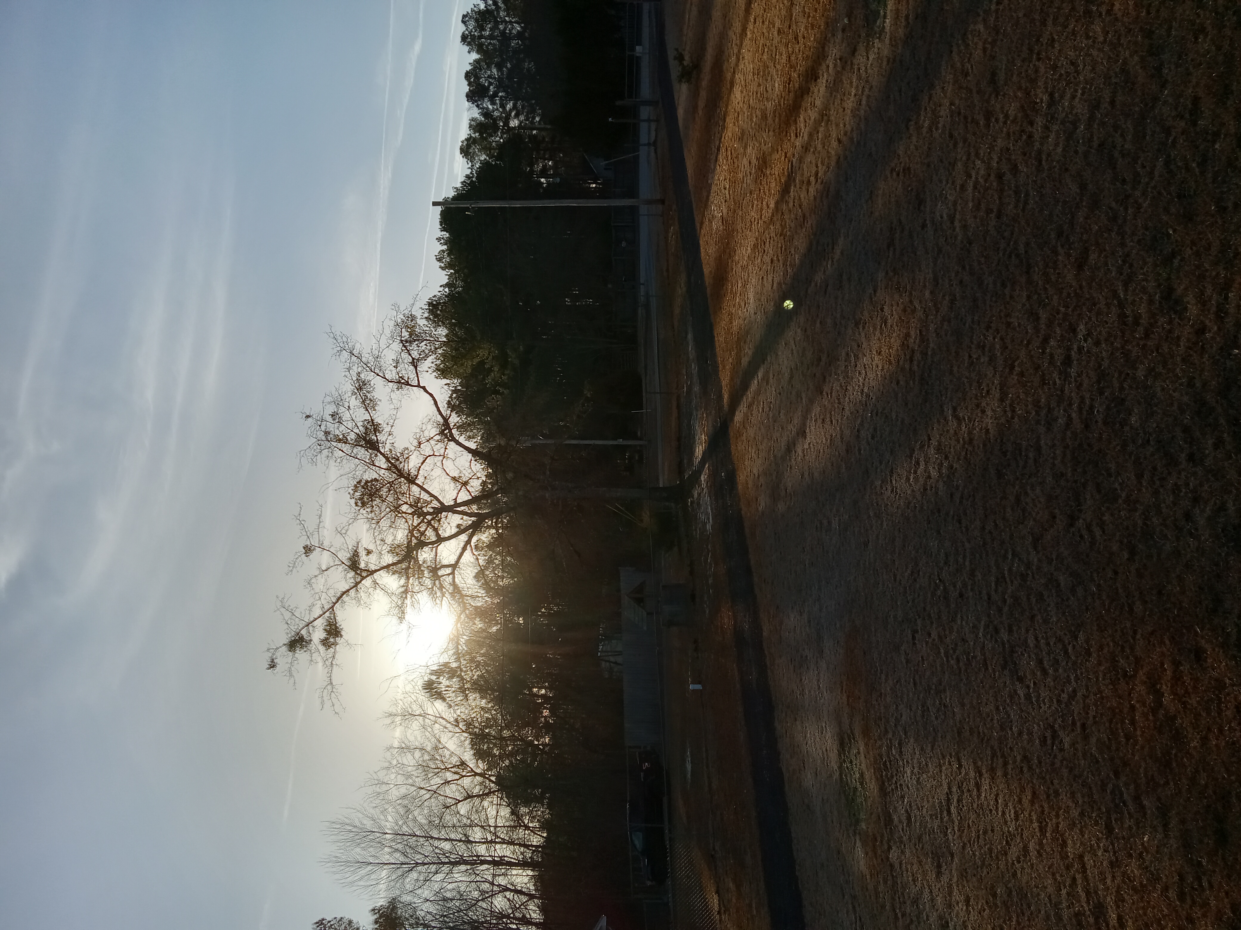 20230207_081541.jpg