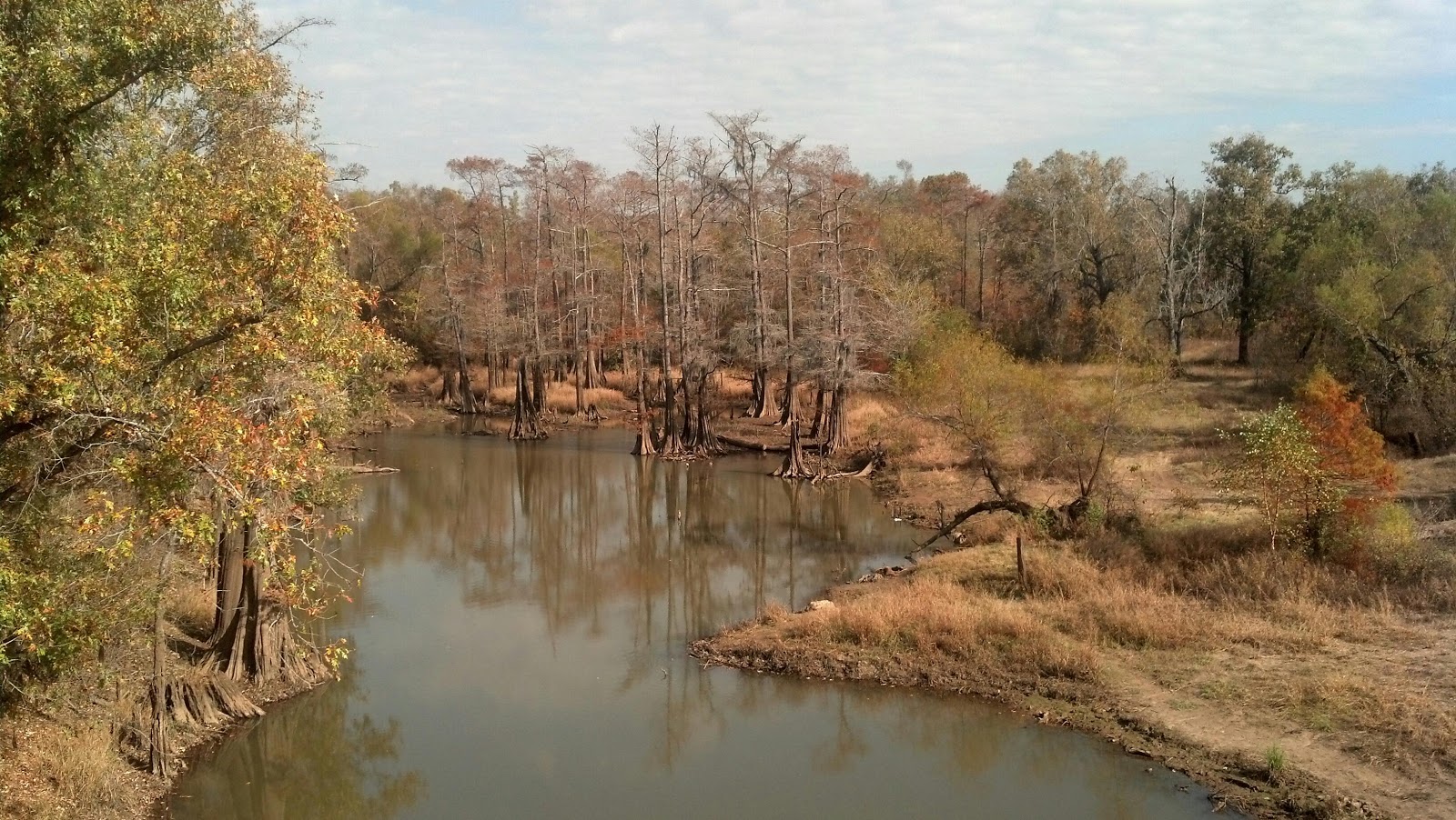 Honey Island.jpg