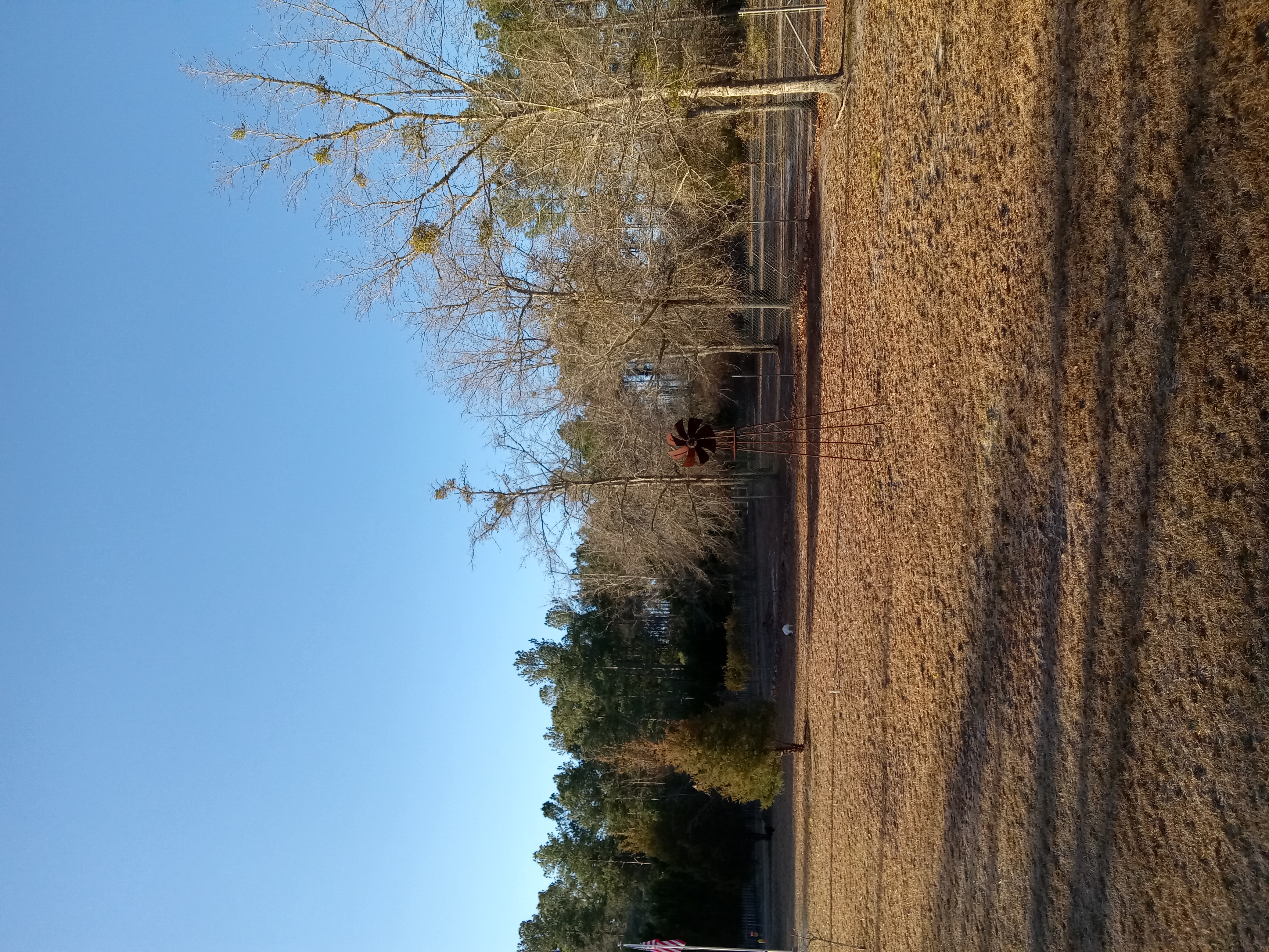 20230218_080851.jpg