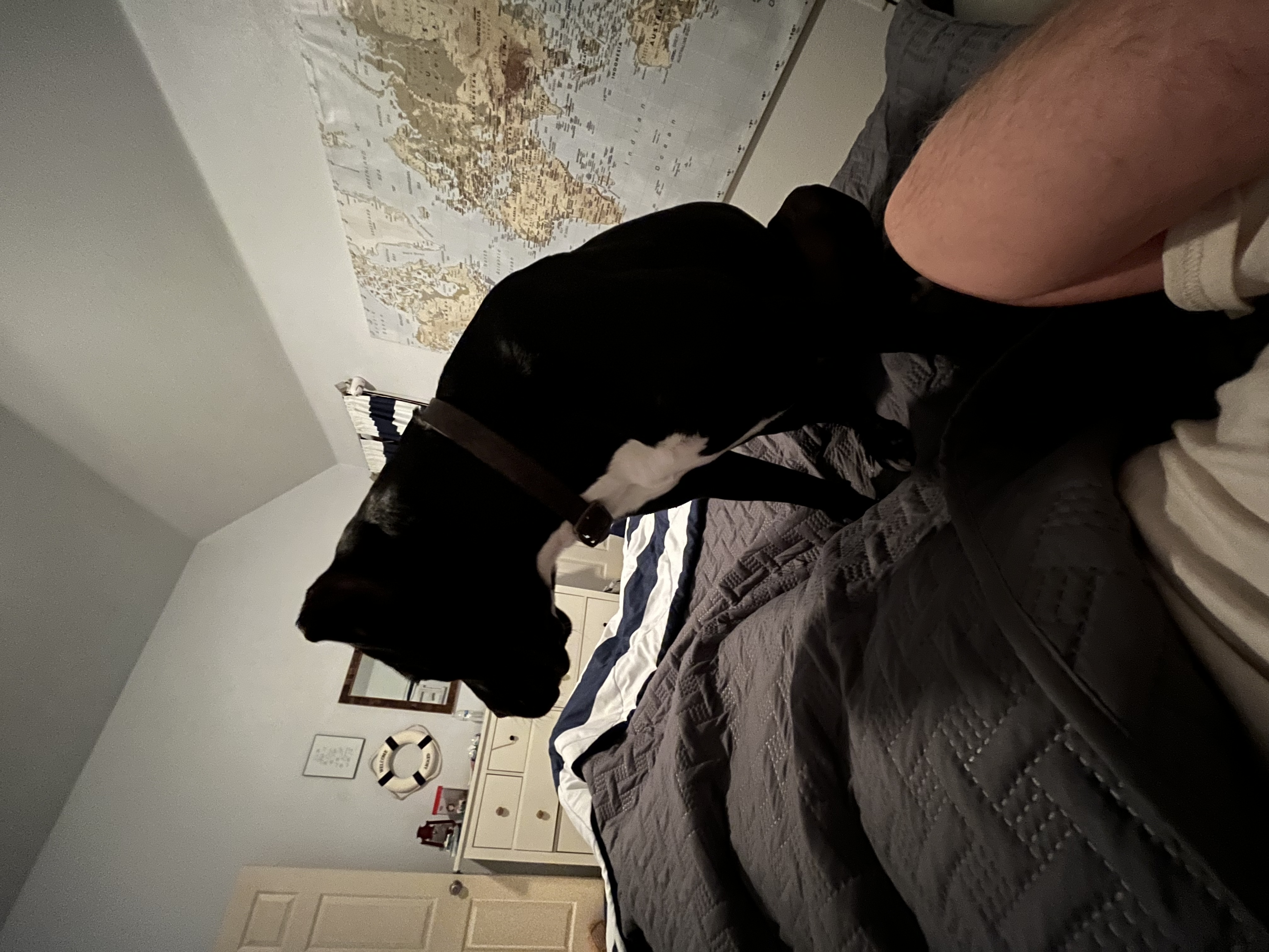 6F0CECB9-5308-49B4-810A-2EA9E8F75A65.jpeg
