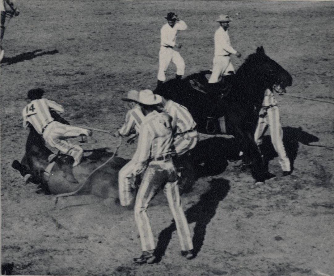 Texas Prison Rodeo.jpg