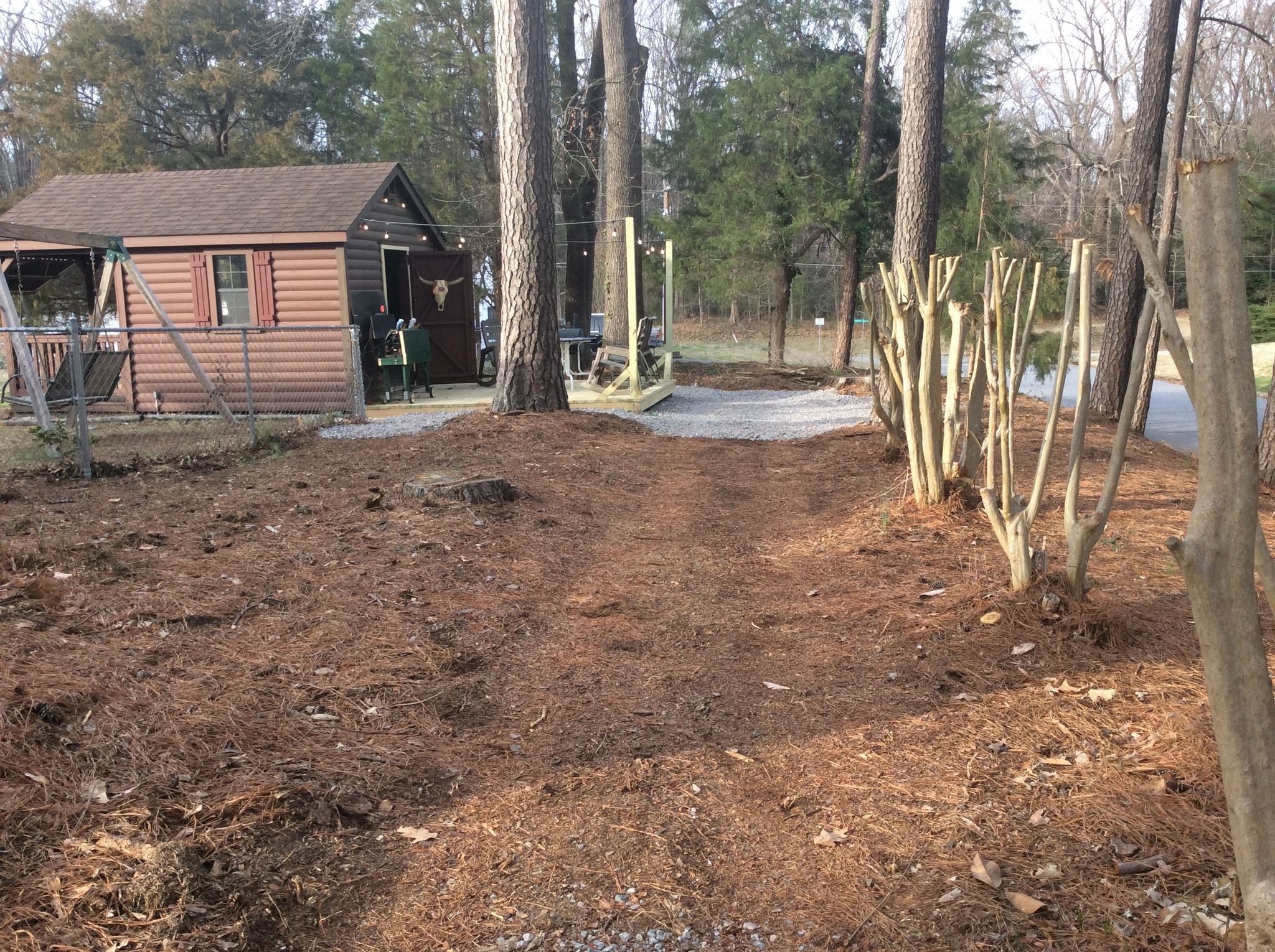 the path to the back door.jpg