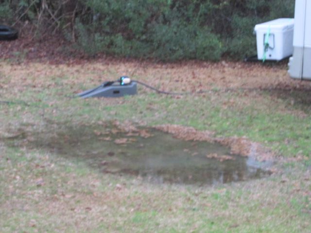 230302 001 overnight rain 001.jpg
