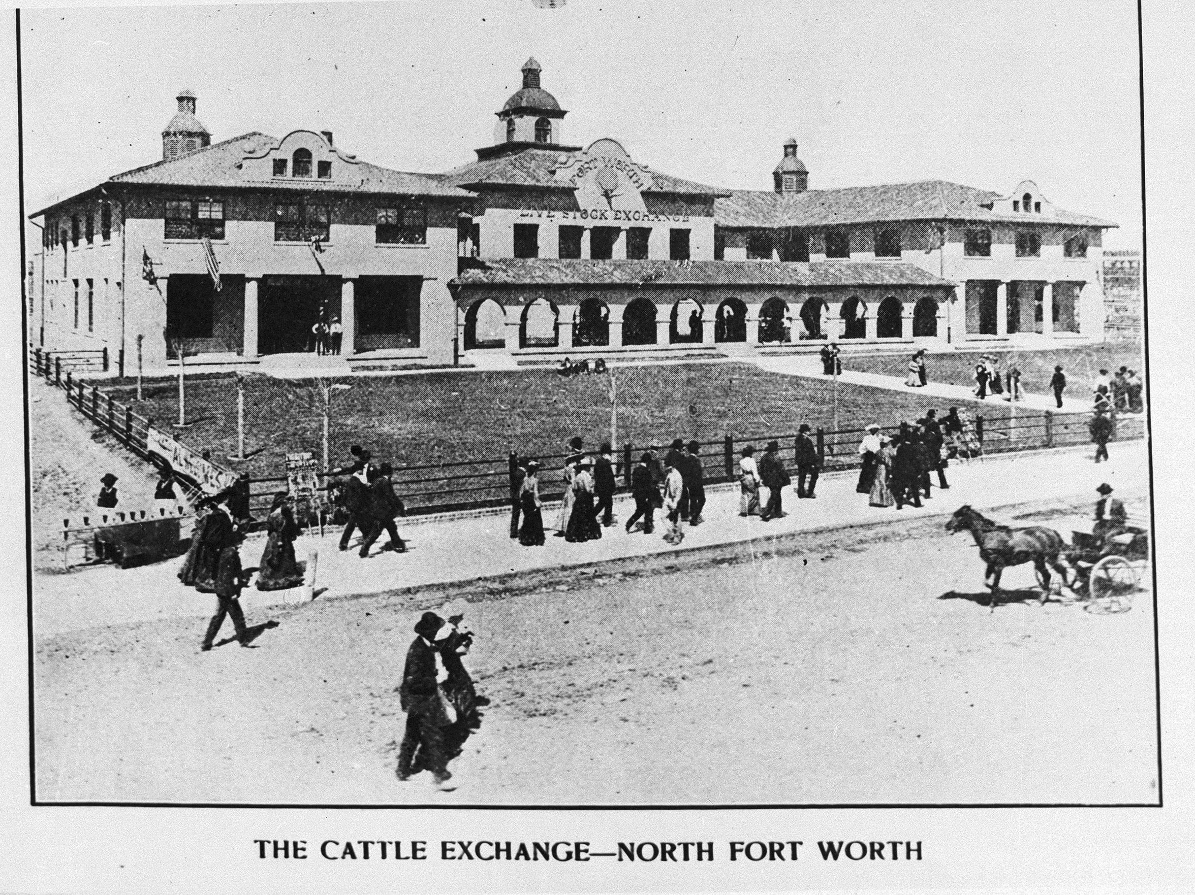 Cattle Exchange.jpg