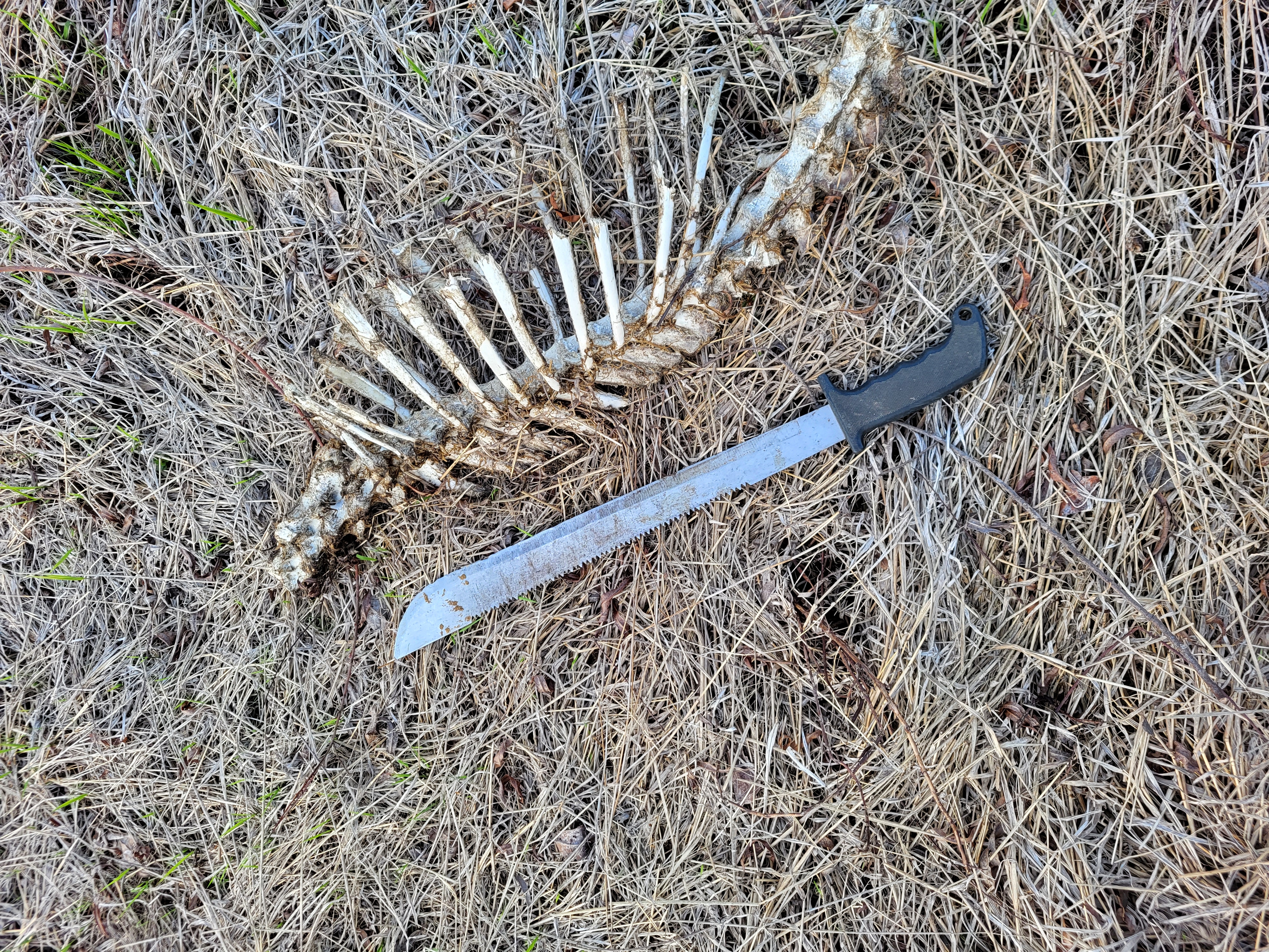 20230310_172345.jpg