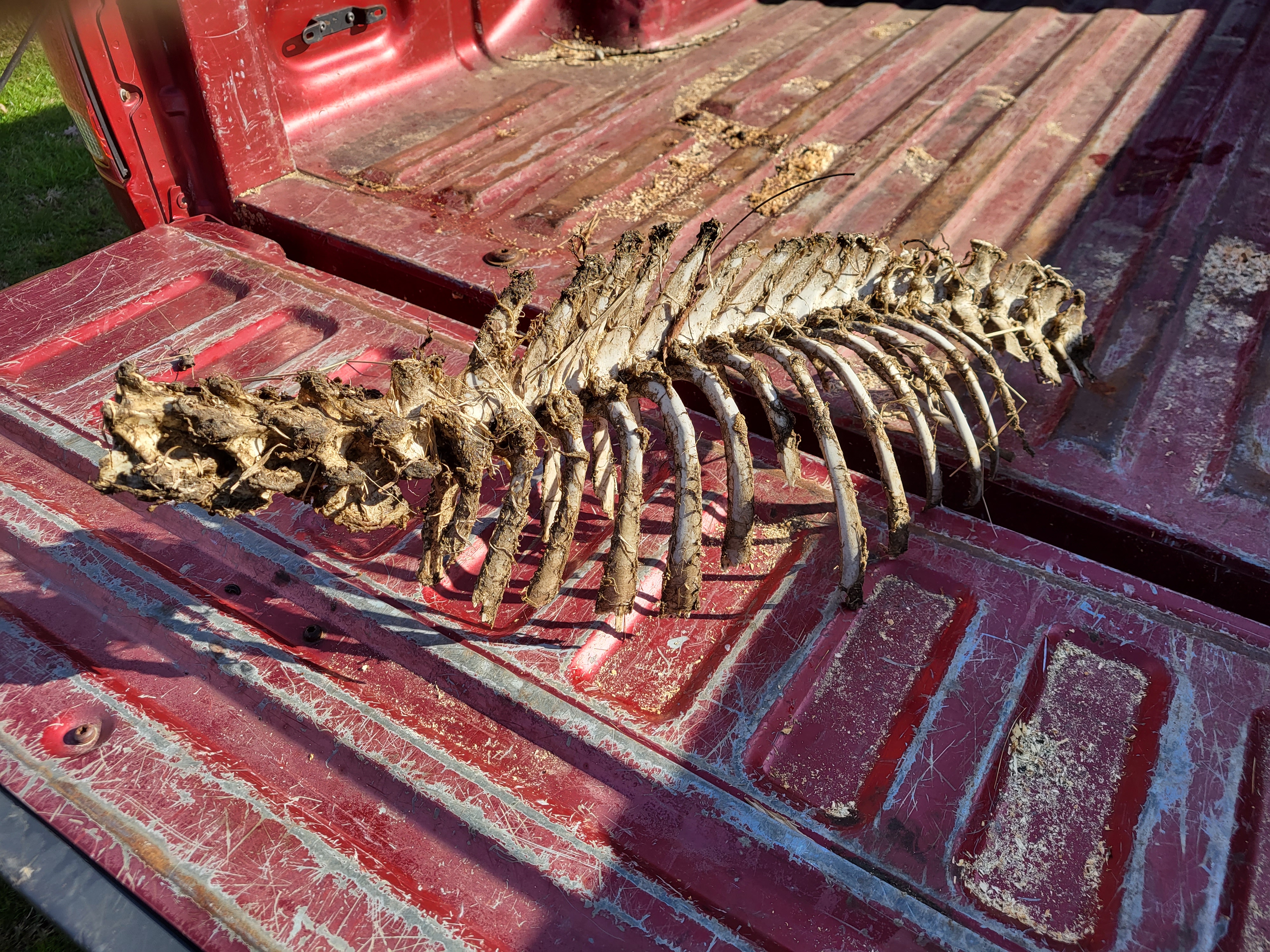 20230311_084138.jpg