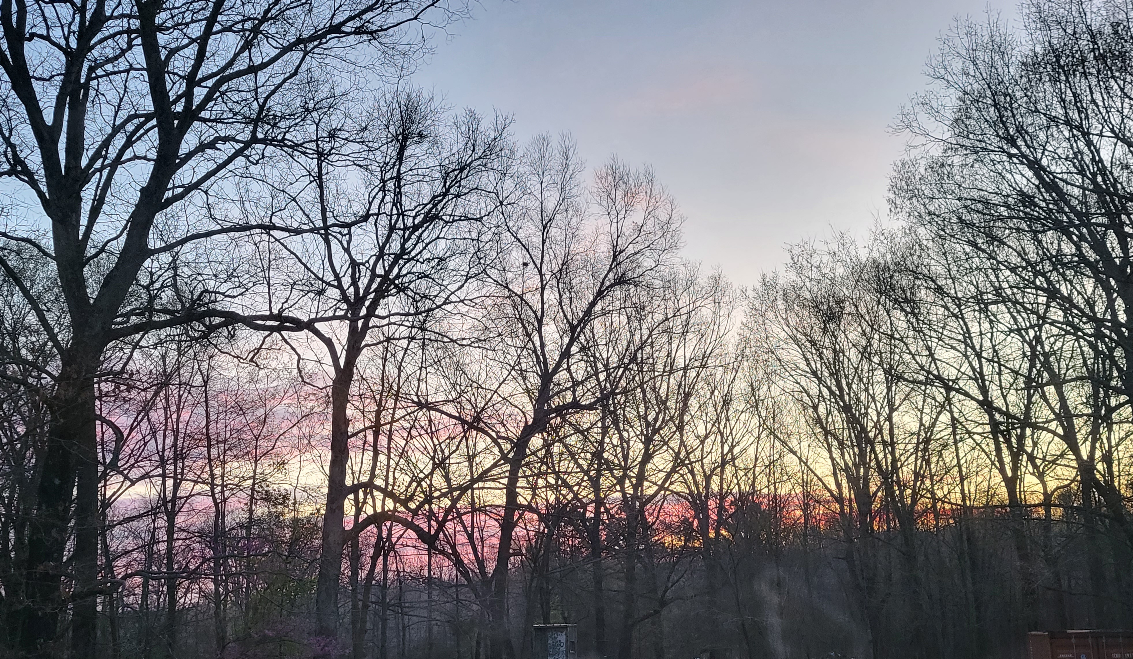 20230316_065458.jpg