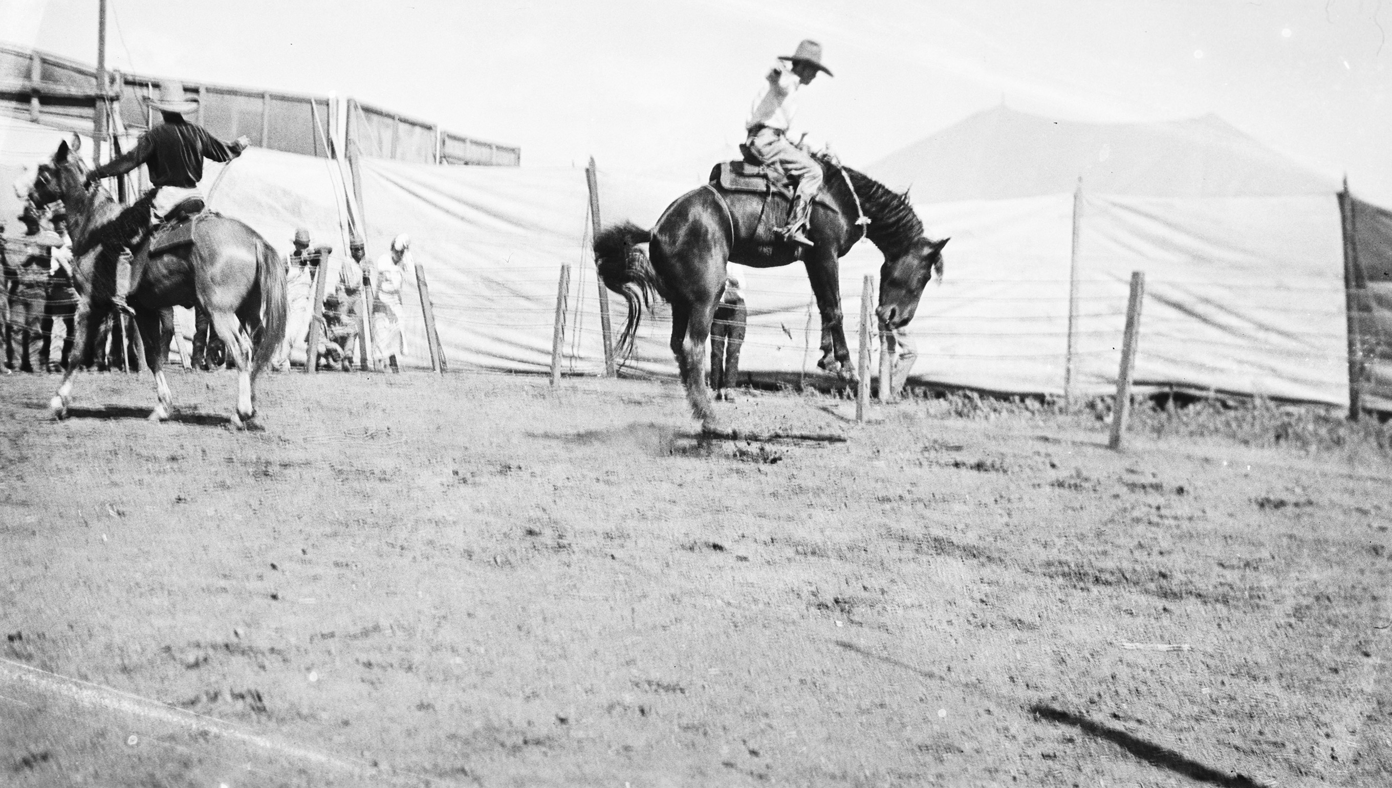 Bronco Busting.jpg