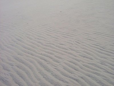 080415 002 Ocean Waves 003.jpg
