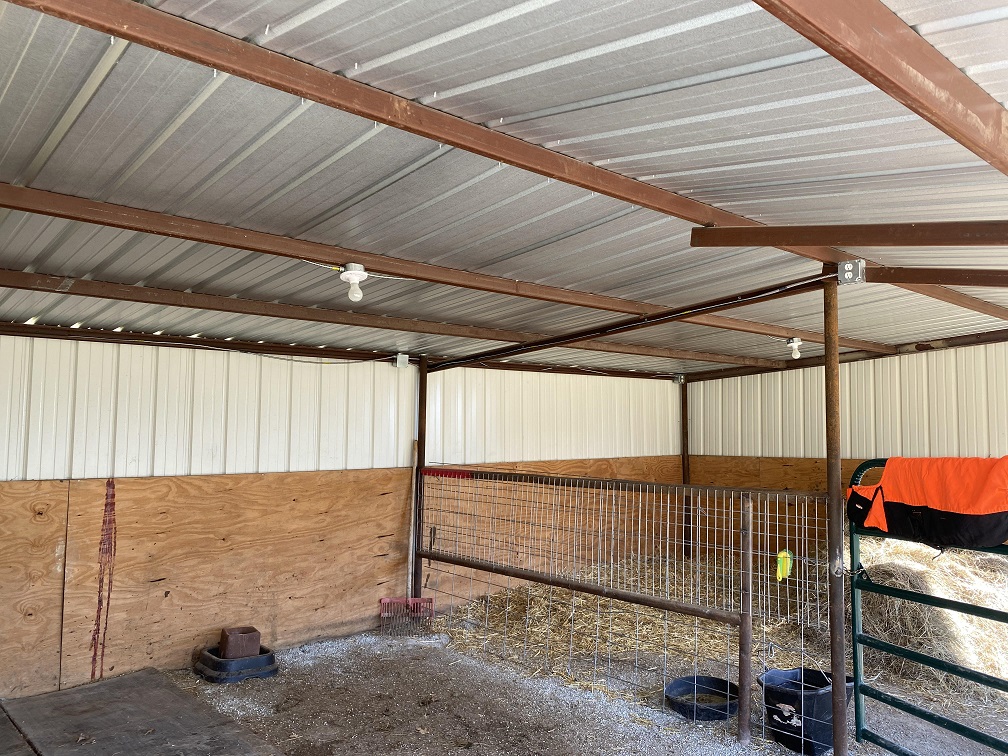 07 stall lights.jpg