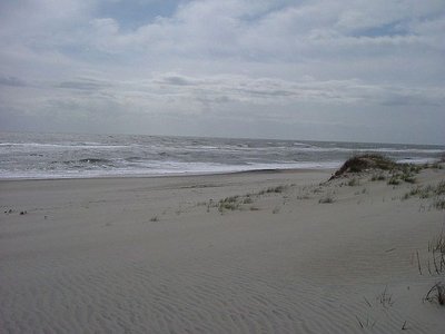 080415 002 Ocean Waves 001.jpg