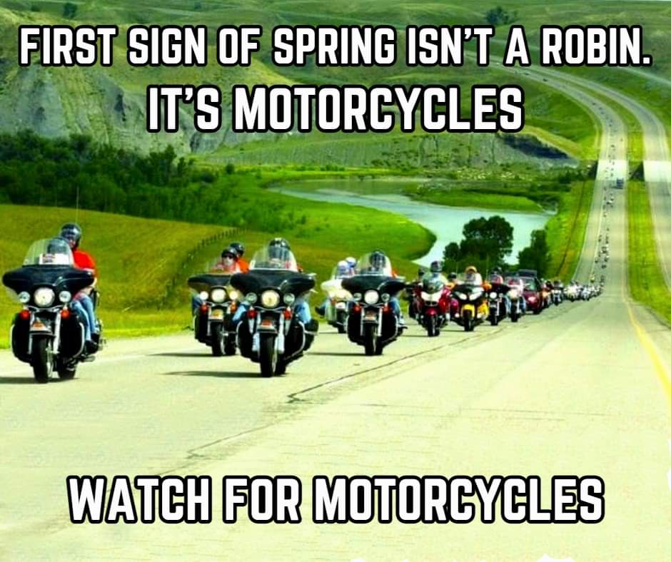FB_IMG_1679964720850.jpg