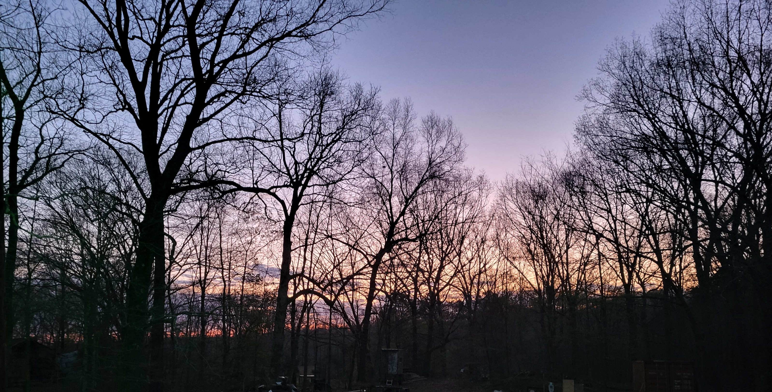 20230330_062308.jpg