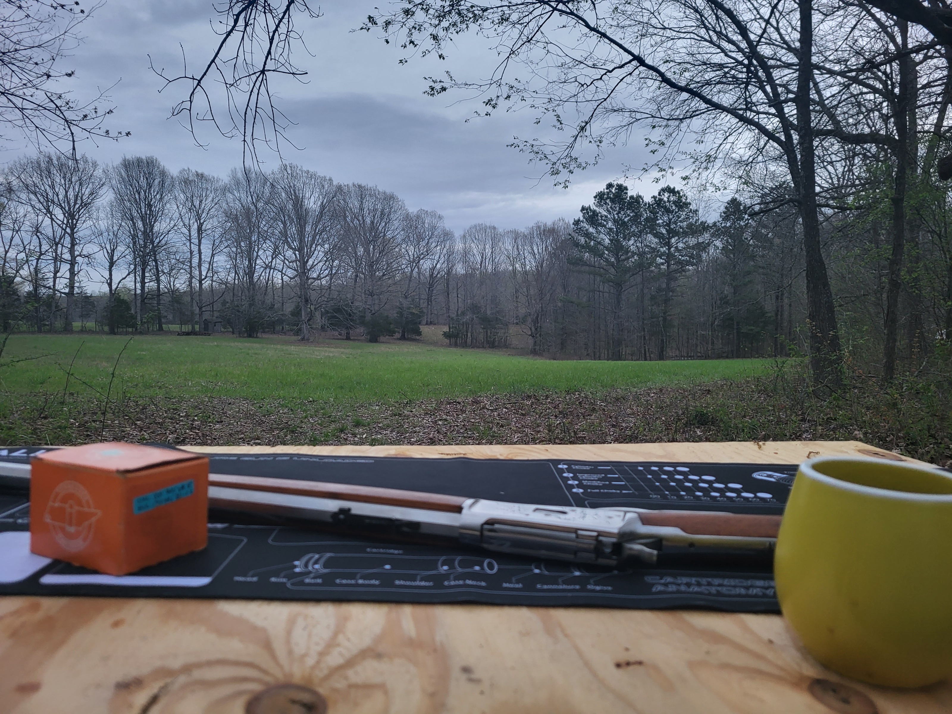 20230331_065340.jpg