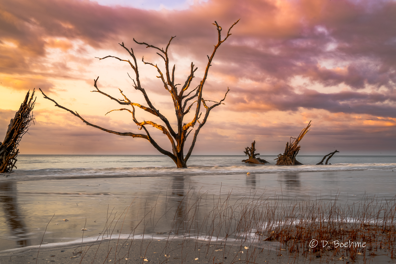 _DAB7648-HDR.jpg