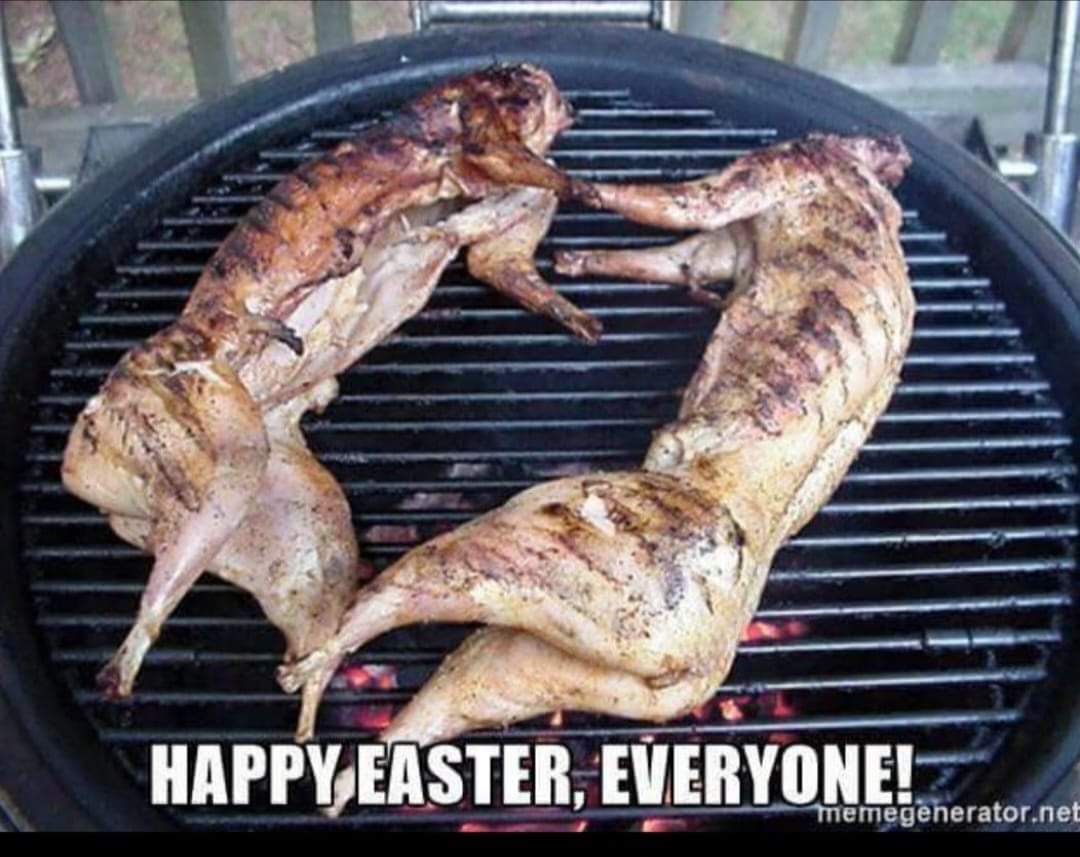 FB_IMG_1681003786195.jpg