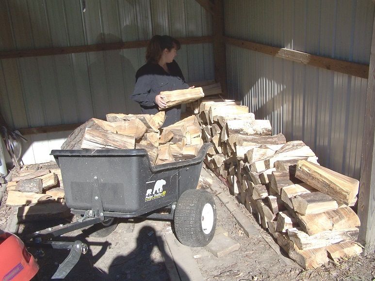 woodcutting 071031 10 comp.jpg