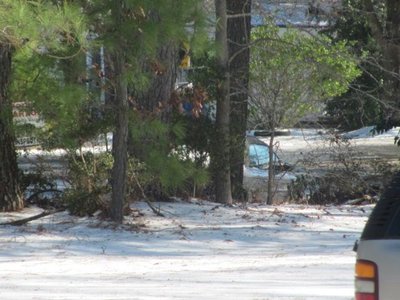 170108 002 in the ditch 001.jpg